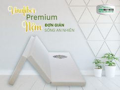 CHỌN NỆM THÔNG MINH GIÚP PHÒNG NGỦ THÊM RỘNG RÃI