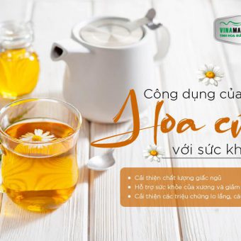 https://july153.mywebsite.vn/cong-dung-tuyet-voi-cua-tra-hoa-cuc-doi-voi-suc-khoe.html