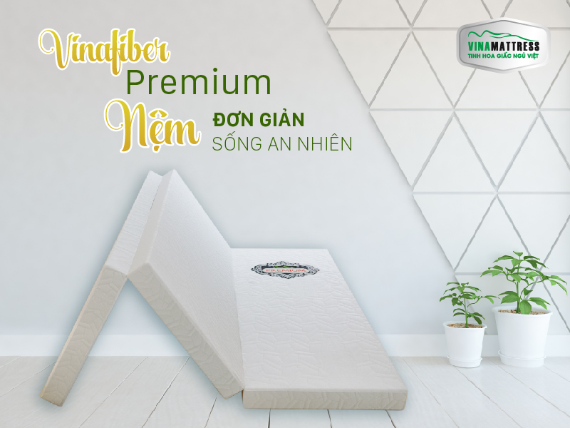 chong-nem-thon g-minh-giup-ph ong-ngu-rong-m o-03.jpg